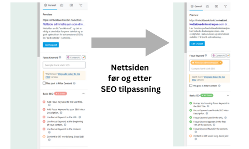 Nettsideadministrasjon som driver vekst – hvordan holde din nettside på topp