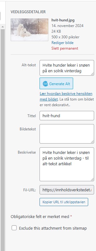 Hvite hunder som leker i snøen på en solrik vinterdag - alt-tekst bilde